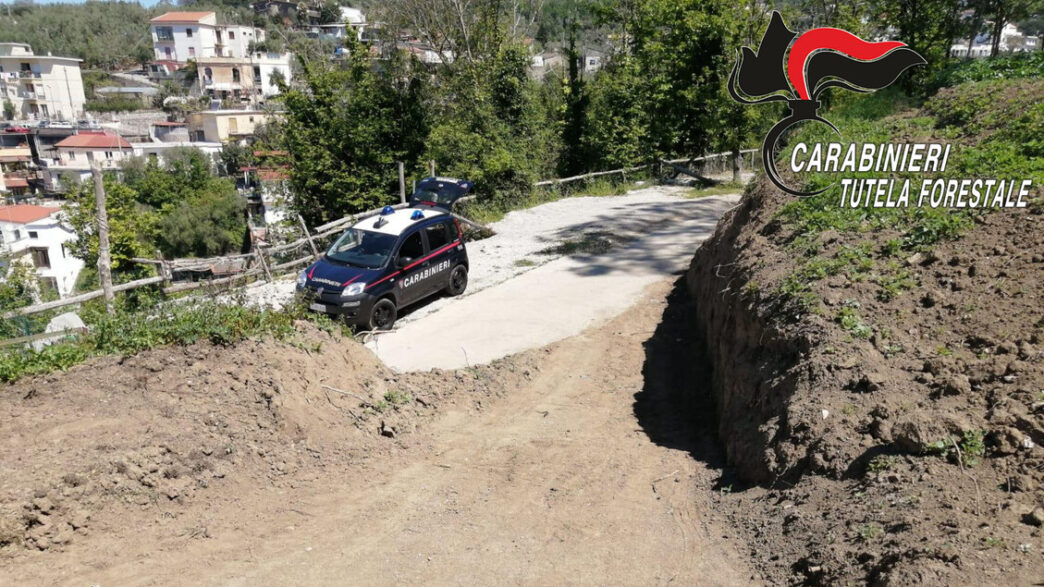 Lavori Abusivi A Massa Lubrens