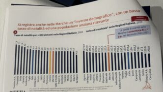 Le Marche Segnate Da Calo Demo