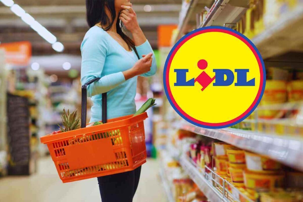 Addio Insetti In Casa Con Questo Accessorio In Super Offerta Da Lidl