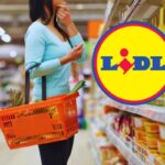 Addio Insetti In Casa Con L’Accessorio In Super Offerta Da Lidl: Lo Stanno Comprando Tutti