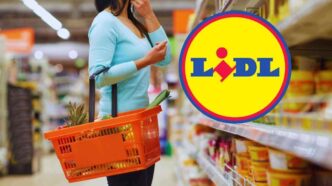 Addio Insetti In Casa Con Questo Accessorio In Super Offerta Da Lidl