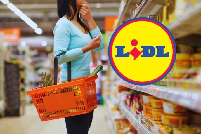 Addio Insetti In Casa Con Questo Accessorio In Super Offerta Da Lidl
