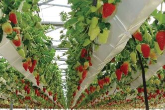 Lirsa Spa Lancia Un Film Plast
