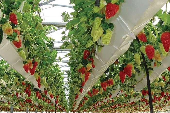 Lirsa Spa Lancia Un Film Plast