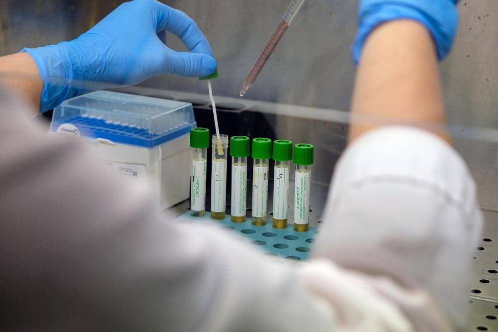 Mers In Arabia Saudita3A Nuovo