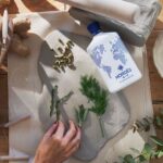 Milano Ospita Laboratori Di Ceramica Ispirati Al Gin Nordés, Tra Arte E Degustazione Dal 13 Maggio