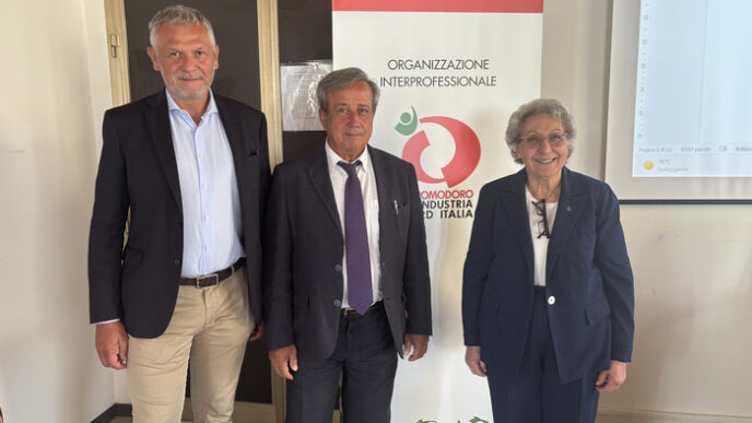 Modifiche Allo Statuto E Attiv