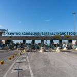 Mof Conferma La Presenza Con Aziende D’eccellenza Alla 42ª Edizione Di Macfrut A Rimini