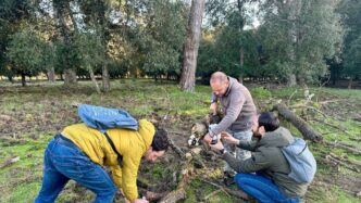 Monitoraggio Di Cinghiali2C Dai