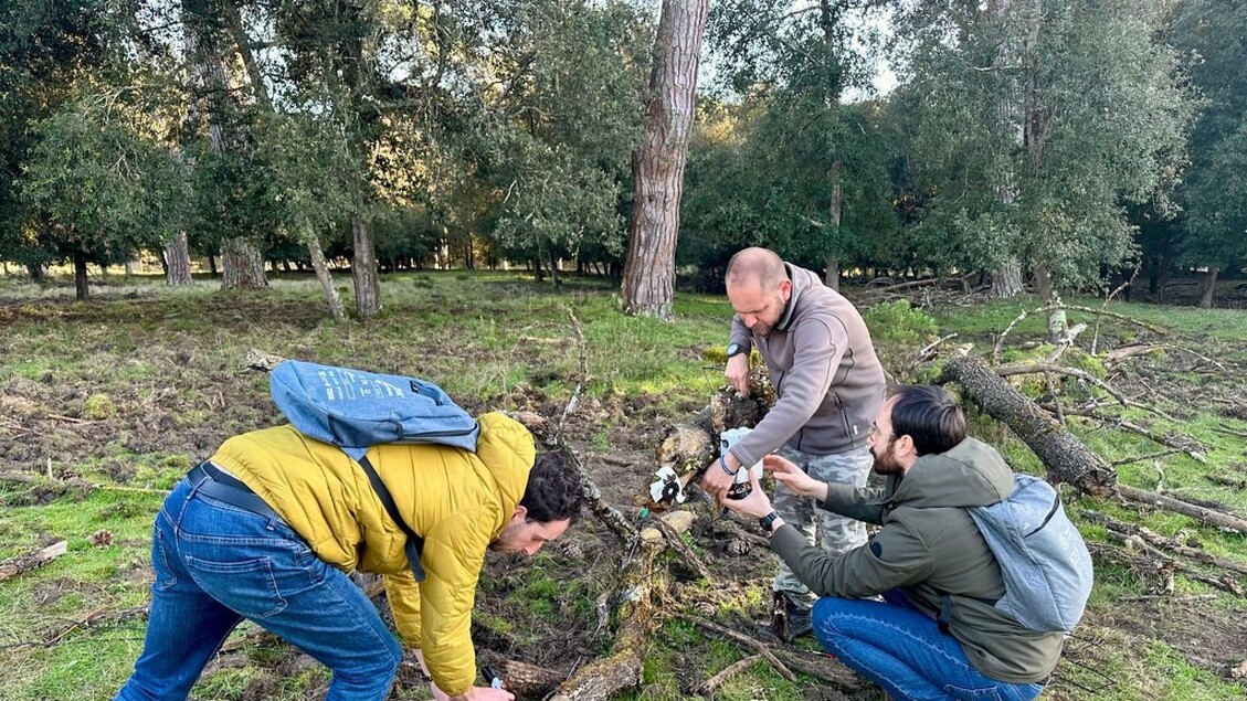 Monitoraggio Di Cinghiali2C Dai