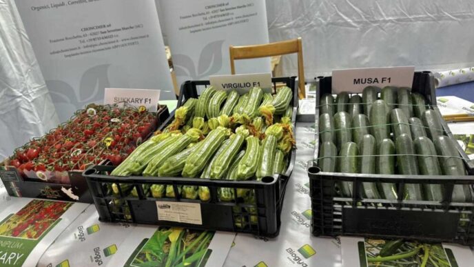 Mostra Agricola E Sagra Dello