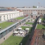 Nasce Una Vigna Hi-Tech All’interno Del Politecnico Di Torino, Un Laboratorio Per Agritech E Sostenibilità Urbana