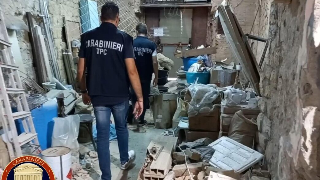 Nel 2024 I Carabinieri Tutela