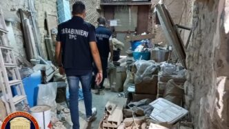 Nel 2024 I Carabinieri Tutela