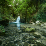 Nel Lazio Torna Cammini Aperti 2025: Escursioni Gratuite Per Scoprire Borghi, Spiritualità E Natura