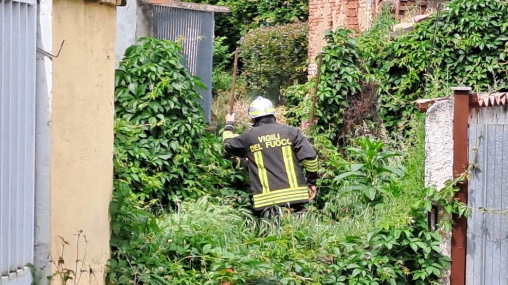 Nuove Ricerche Nel Cavo Bozzan
