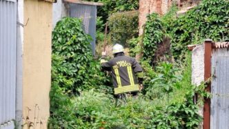 Nuove Ricerche Nel Cavo Bozzan