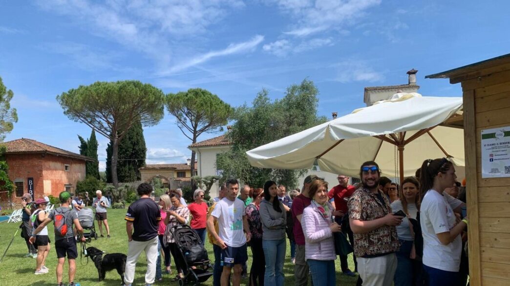 Oltre 6Mila Visitatori Per Oli