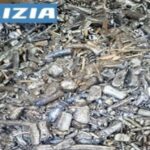 Oltre 700 Armi Ritirate E Rottamate Dalla Polizia Di Stato Nelle Province Di Ancona E Padova