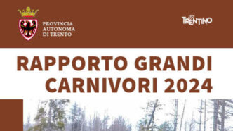 Orsi E Lupi In Trentino 20243A