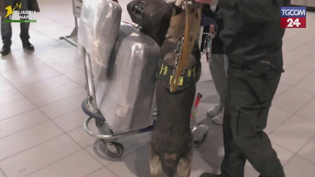 Passeggero Italiano Fermato A