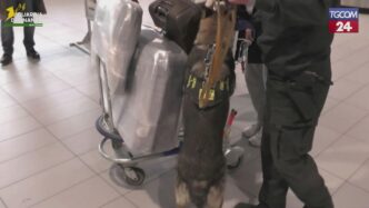 Passeggero Italiano Fermato A