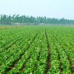 Penne Ospita La Tappa Abruzzese Del Tour Nazionale Per Sostenere La Sovranità Alimentare