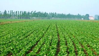 Penne Ospita La Tappa Abruzzes