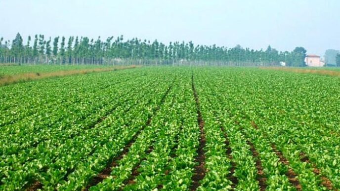 Penne Ospita La Tappa Abruzzes