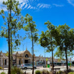 Perth, Capitale Del Western Australia, Vive Un Rinascimento Culturale Tra Tradizione E Nuove Energie
