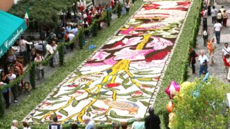 Pietra Ligure In Fiore 20253A P