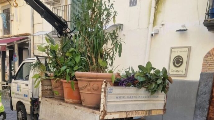 Polizia Locale Di Napoli Rimuo