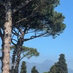 Pompei, 20 Mila Visitatori Giornalieri: Il Parco Archeologico Conferma Il Limite Per La Tutela Del Sito
