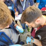 Pretoro, Festa Dei Serpari Con Sessanta Serpenti Protagonisti Tra Tradizione E Controllo Scientifico