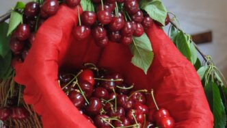 Prezzi Alle28099Ingrosso Agroalimen
