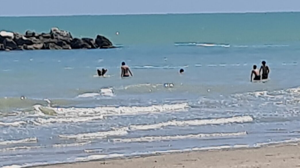 Prime Giornate Di Vita Estiva