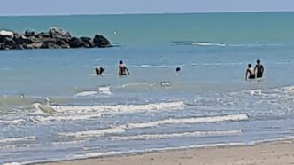Prime Giornate Di Vita Estiva
