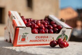 Produttori Della Ciliegia Di M