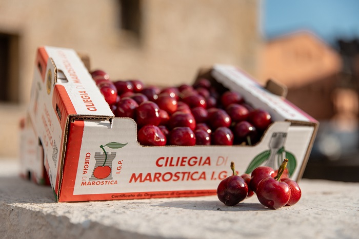 Produttori Della Ciliegia Di M