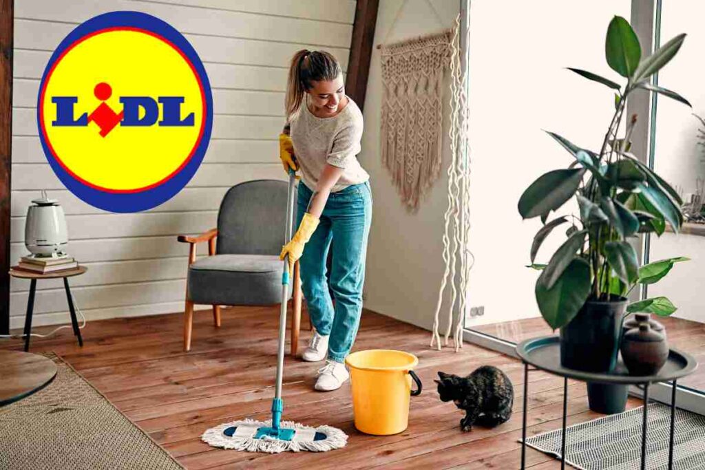 Arma segreta contro lo sporco in offerta da LIDL
