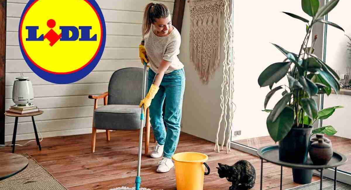 Arma Segreta Contro Lo Sporco In Offerta Da Lidl