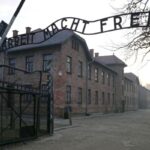 Ragazzo Fiorentino Che Fece Il Saluto Nazista Al Museo Di Auschwitz Chiuso Il Caso Giudiziario Dopo Tre Anni