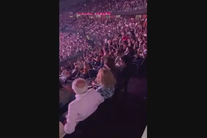 Renato Zero Osserva Il Concert