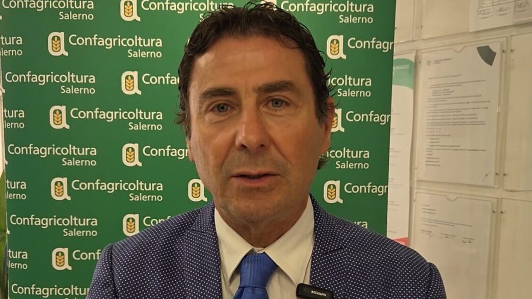 Richieste Per Voli Charter Da