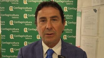 Richieste Per Voli Charter Da