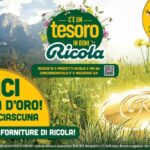 Ricola Lancia Un Concorso Per Sostenere Le Api E Tutelare I Prati Stabili In Italia