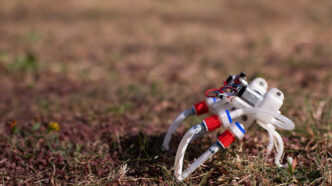 Robot Morbido Che Cammina E Nu