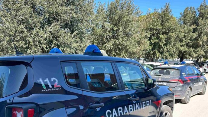 Scontro Tra Tifosi Allo Stadio