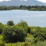 Fondi, La Città Tra Il Lago E Il Tirreno Dove La Storia Si Cammina E La Vita Si Ascolta