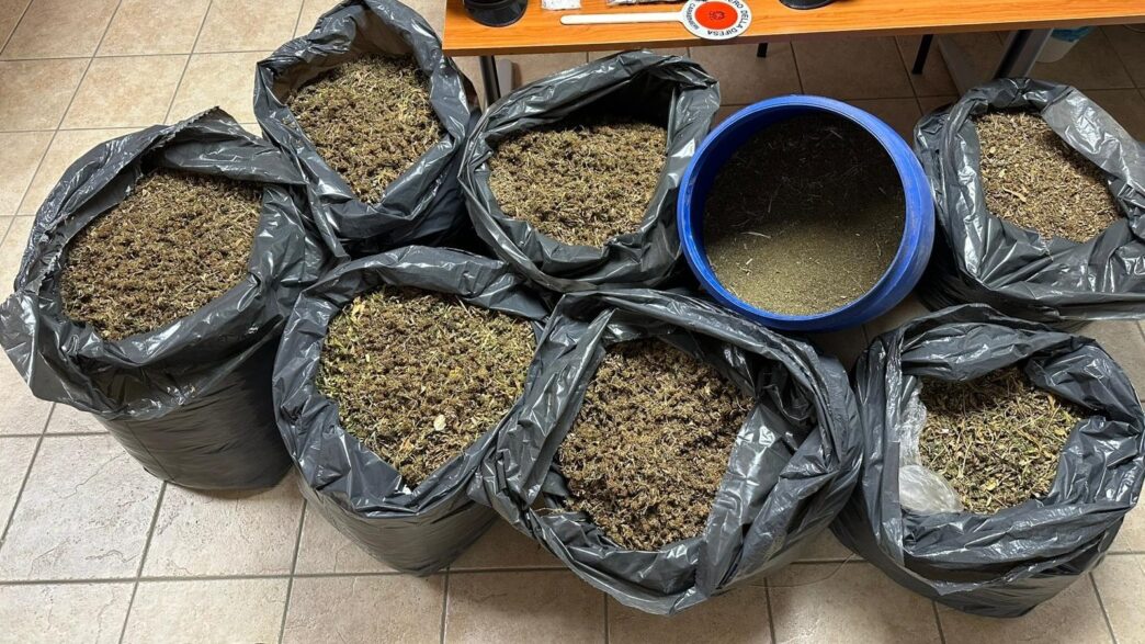 Sequestrati 87 Chili Di Mariju